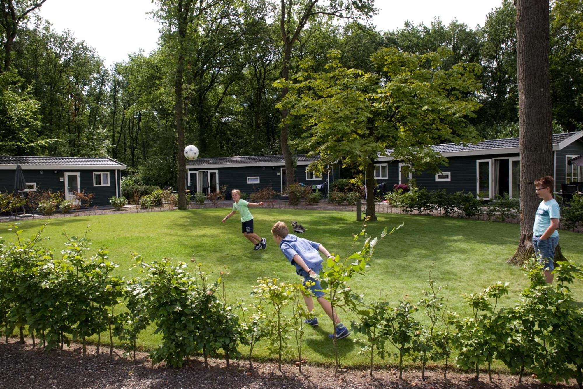 Vakantiepark Bonte Vlucht Doorn Kültér fotó